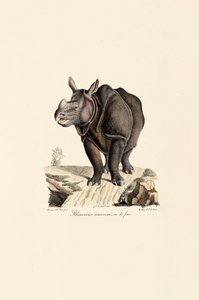  da Jacques Christophe Werner