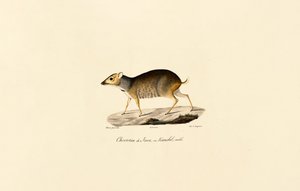  da Jacques Christophe Werner