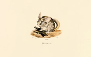  da Jacques Christophe Werner