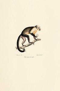  da Jacques Christophe Werner
