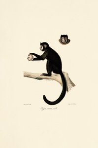  da Jacques Christophe Werner