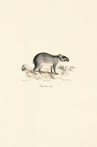 da Jacques Christophe Werner