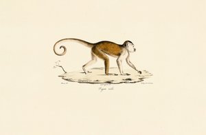  da Jacques Christophe Werner
