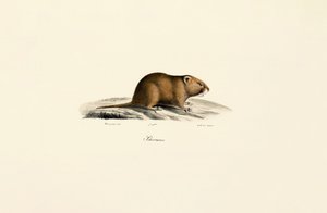  da Jacques Christophe Werner