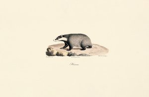  da Jacques Christophe Werner