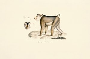  da Jacques Christophe Werner