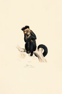  da Jacques Christophe Werner
