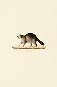  da Jacques Christophe Werner