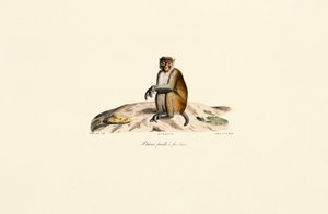  da Jacques Christophe Werner