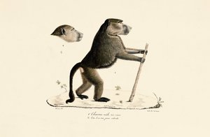  da Jacques Christophe Werner