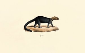  da Jacques Christophe Werner