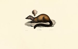  da Jacques Christophe Werner