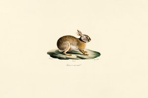 da Jacques Christophe Werner