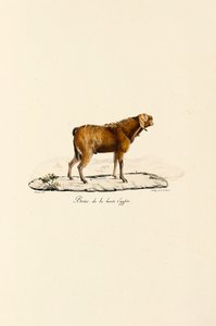  da Jacques Christophe Werner