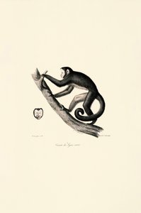  da Jacques Christophe Werner