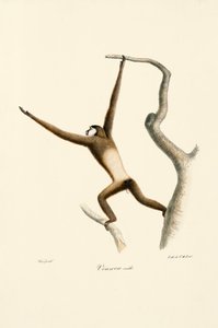  da Jacques Christophe Werner