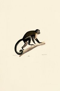  da Jacques Christophe Werner
