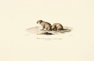 da Jacques Christophe Werner