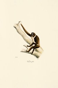  da Jacques Christophe Werner