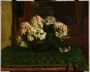 Ortensie (clima caldo) da Jacques Emile Blanche