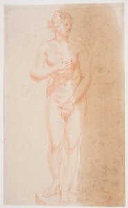 Venere in piedi da Jacques Francois Joseph Saly