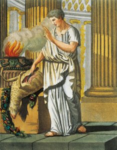 Indovino