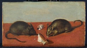 Topi, 1600 circa (olio su legno di quercia) da Jacques II de Gheyn