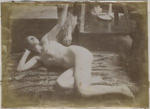 Studio di un modello femminile nudo, sdraiato su una pelle di tigre, nell