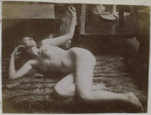 Studio di un modello femminile nudo, sdraiato su una pelle di tigre, nell