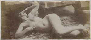 Studio di un modello femminile nudo, sdraiato su una pelle di tigre, nello studio di Jacques de Lalaing da Jacques Lalaing (attributed to)