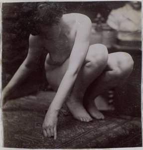 Studio di un modello femminile nudo, visto di fronte, nell