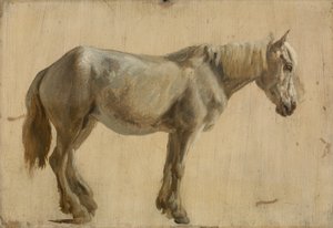 Studio di un Cavallo Grigio da Jacques Laurent Agasse
