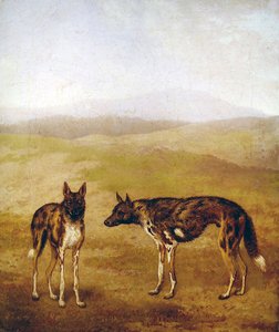Due cani da caccia africani da Jacques Laurent Agasse