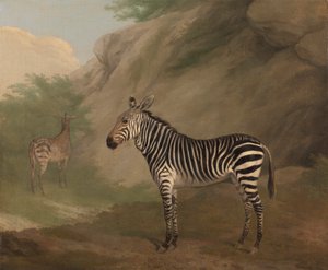 Zebra da Jacques Laurent Agasse