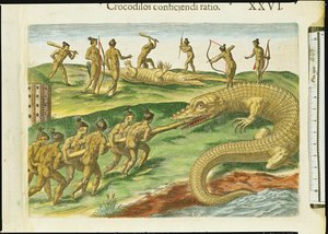 Caccia ai Coccodrilli, da 