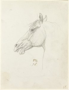Testa di cavallo da Jacques Louis David