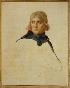 Napoleon Bonaparte … da Jacques Louis David