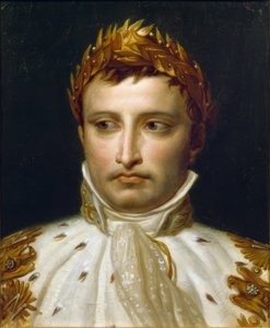 Napoleone I in abito da incoronazione da Jacques Louis David