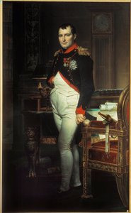 Ritratto a figura intera di Napoleone I (1769-1821) nel suo studio alle Tuileries. Dipinto di Jacques Louis David (1748-1825) 1812. Collezione privata da Jacques Louis David