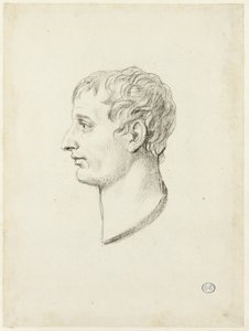 Profilo di Napoleone