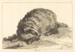 Blereau (Tasso)