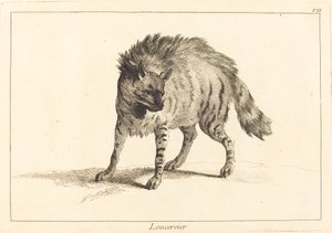 Loucervier (Iena) da Jacques Philippe Le Bas and Jean Eric Rehn after Jean Baptiste Oudry