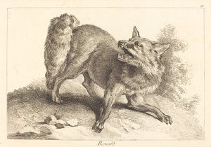 Volpe da Jacques Philippe Le Bas and Jean Eric Rehn after Jean Baptiste Oudry