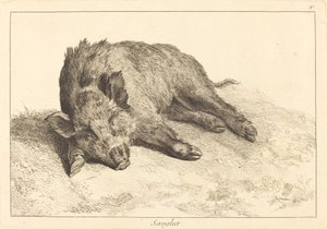 Cinghiale sdraiato, testa a sinistra da Jacques Philippe Le Bas and Jean Eric Rehn after Jean Baptiste Oudry