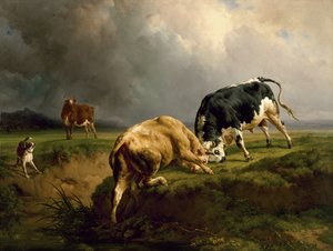 Una corrida