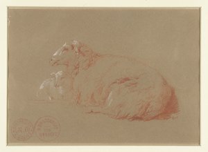 Pecora sdraiata con agnello