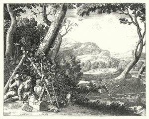 Cattura di uccelli (incisione)