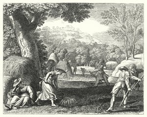 Scena di raccolto