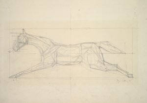 Serie di Jockey, n.2 (Cavallo visto di lato)