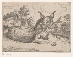 Lince da Jacques de Fornazeris (attributed to)